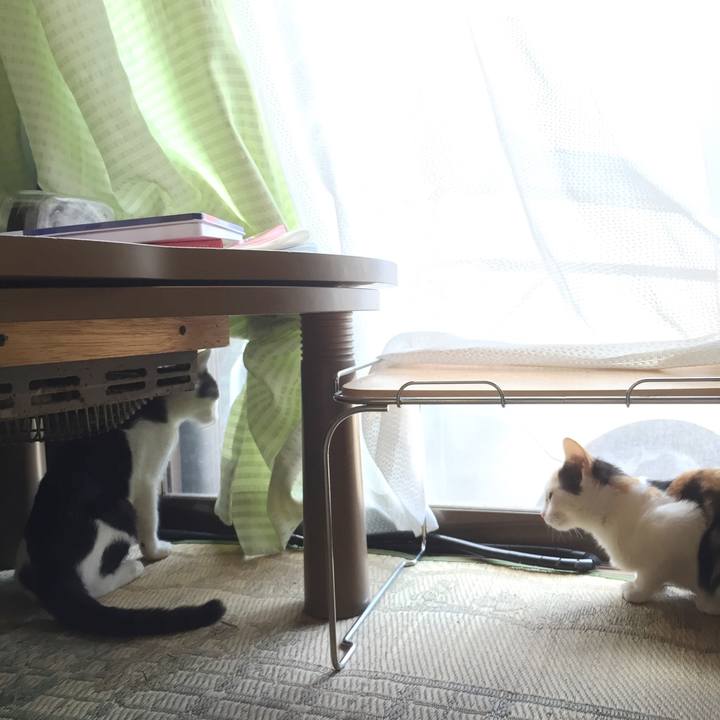 78ca475e 22c5 4f12 ae7e 8afac91e9df0