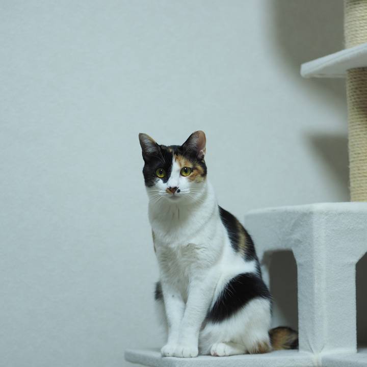 78caf5b8 707d 4198 aab1 0c9ae29cba6f