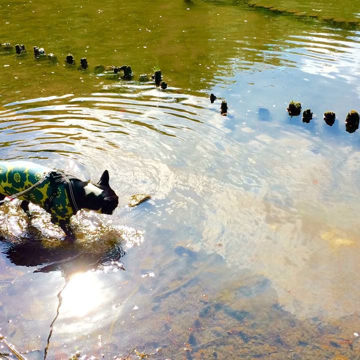 78cb2bb0 fdb7 4d5d a0a8 096851686da6