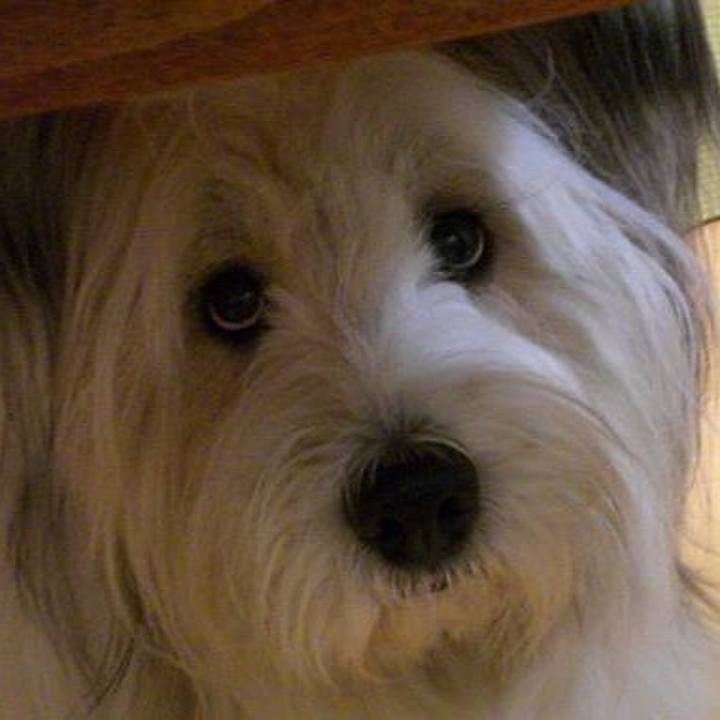 78cc00d4 a5cd 44e6 9480 a8387bbe8cc7