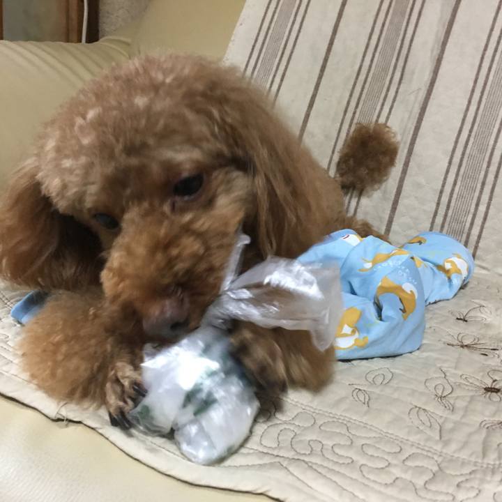 78cc85d3 8527 4cbd 83bf d826bc4bfae4