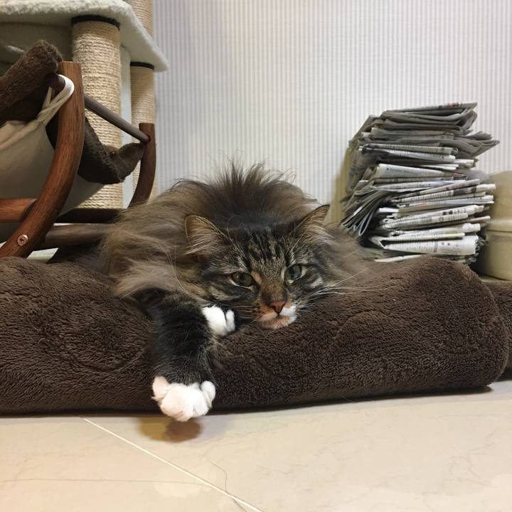 78ccd28d a903 4deb 88e0 f781fc829ad8