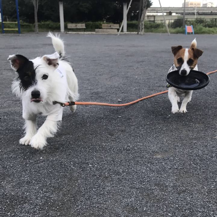 78ccd801 01c1 4a3a b42b cbe19eebe975