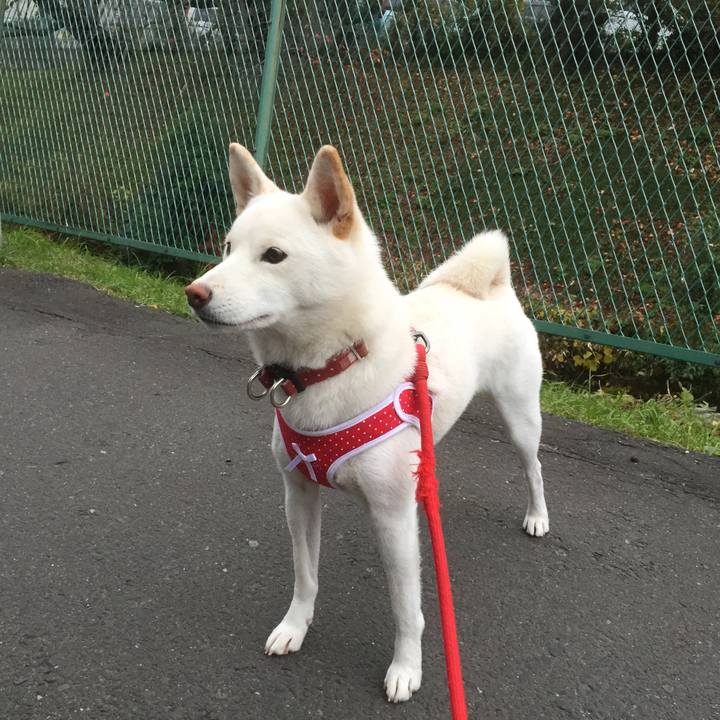 78cd422f f754 429e 886c 52b1c64899b3