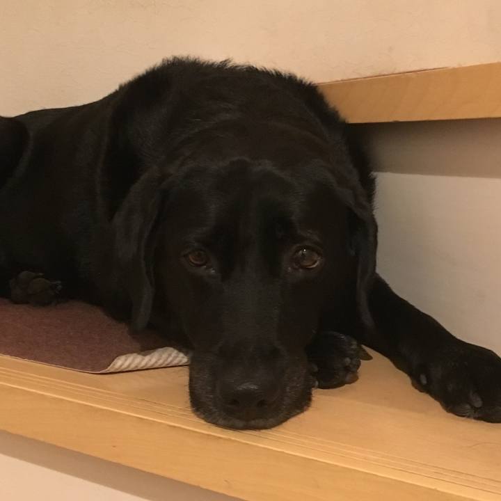 78cd8ede 7ea5 4c6d b187 93e47ccaeaa2