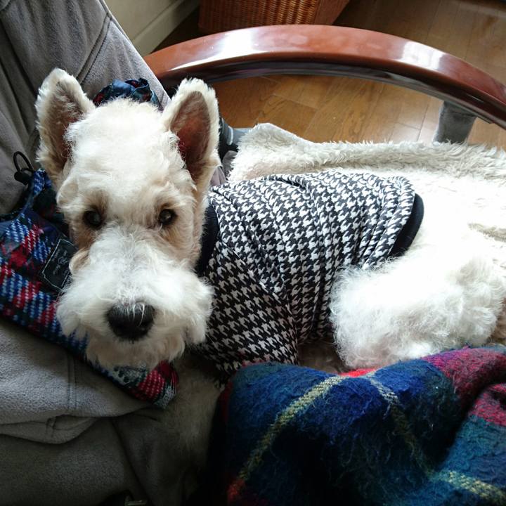 78cda938 f642 4acd a348 fb6757b39197