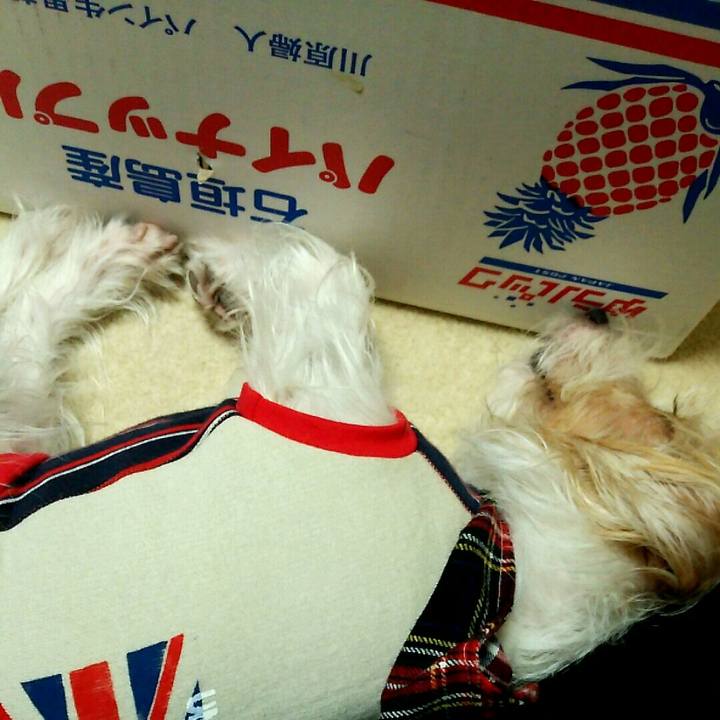 78cdbe76 66fc 4452 a0c5 8c4ba57547be