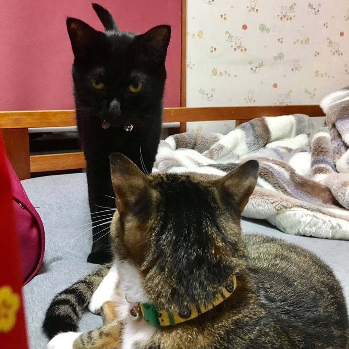 78ceb170 f214 4c13 bb69 a3fbbc7e5873