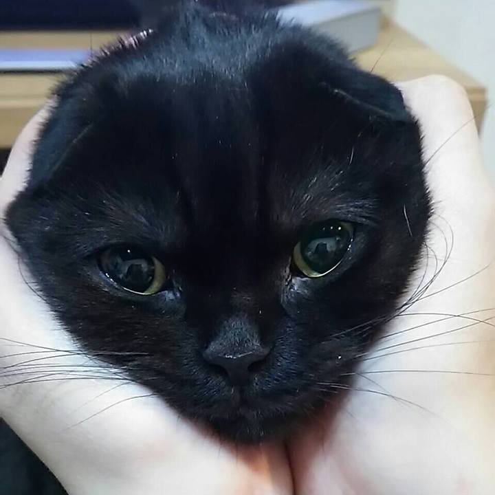 78cec1ae 6391 4926 b167 3bdd0b70036a