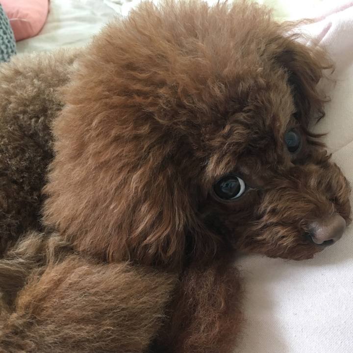 78cf7ecc c6f9 44c5 9389 9ea0a128ad67