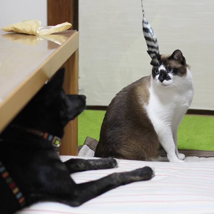 78d04a0d 9575 4cfd b2f2 a72f988132b4