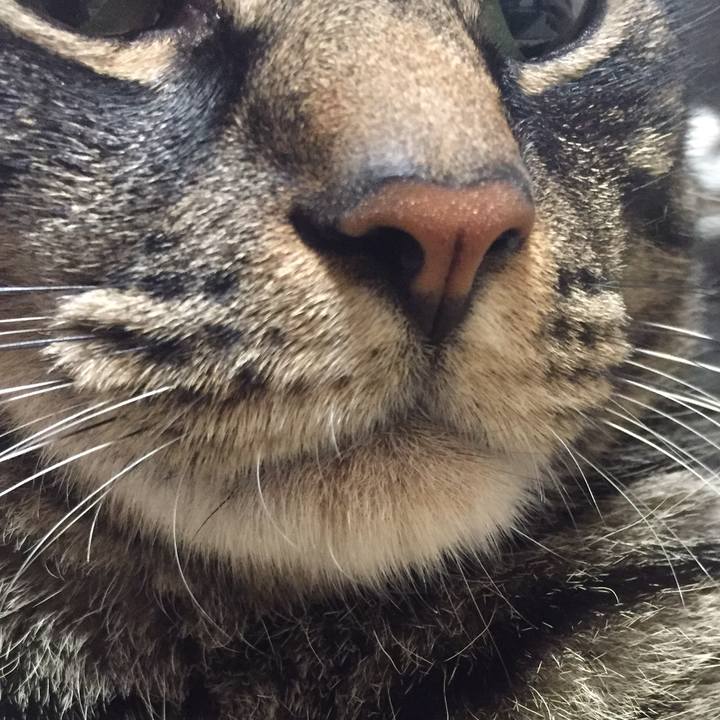 78d07d03 67fb 4043 ace2 d4c711c0bd2f