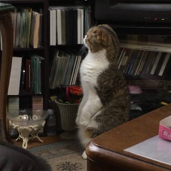 78d086ae 701a 423f 8109 7816e5dfbb93