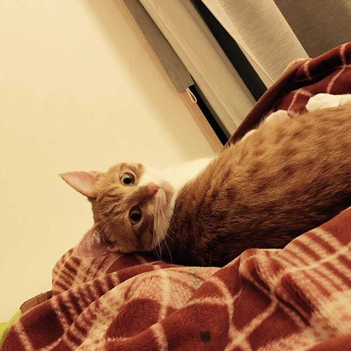 78d11e8c 5e2e 43bb b8a4 5047a6e8bed2