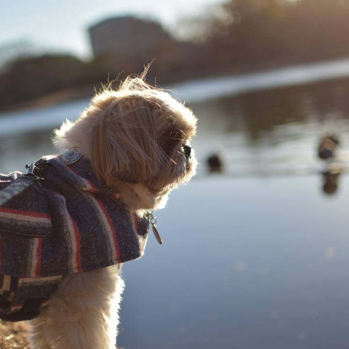 78d130c6 61ef 44b0 ba6d c87819c3a073