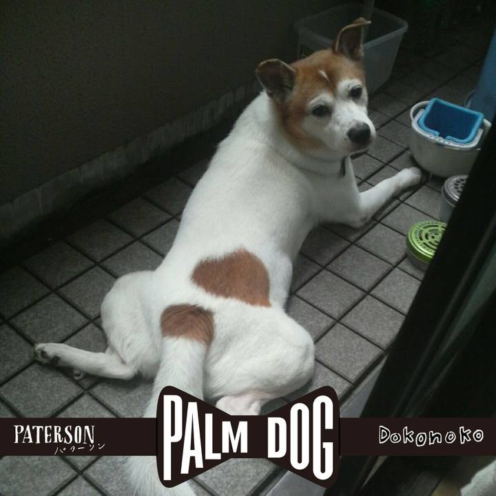 78d16925 5305 4380 a053 c1587304fd55