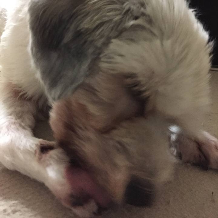 78d1cb77 78d2 404d 8fa4 4ab63555e225