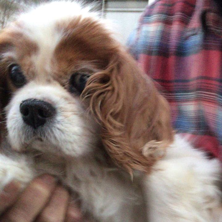 78d21a9b 4545 414a 91a3 38691f1ecf1b