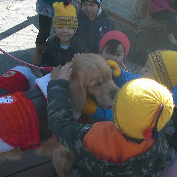 78d26d39 183d 47cc bc82 66aa7ed31b90