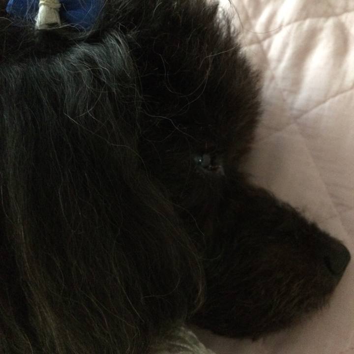 78d2a6cc a828 4e07 9913 f275017da2db