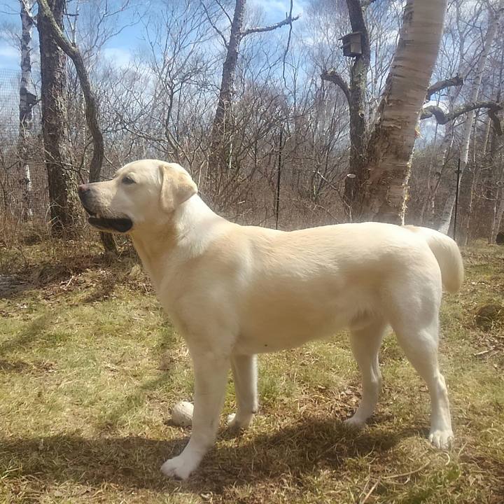 78d2b176 01b1 4888 ac8e 22421d0e98fc