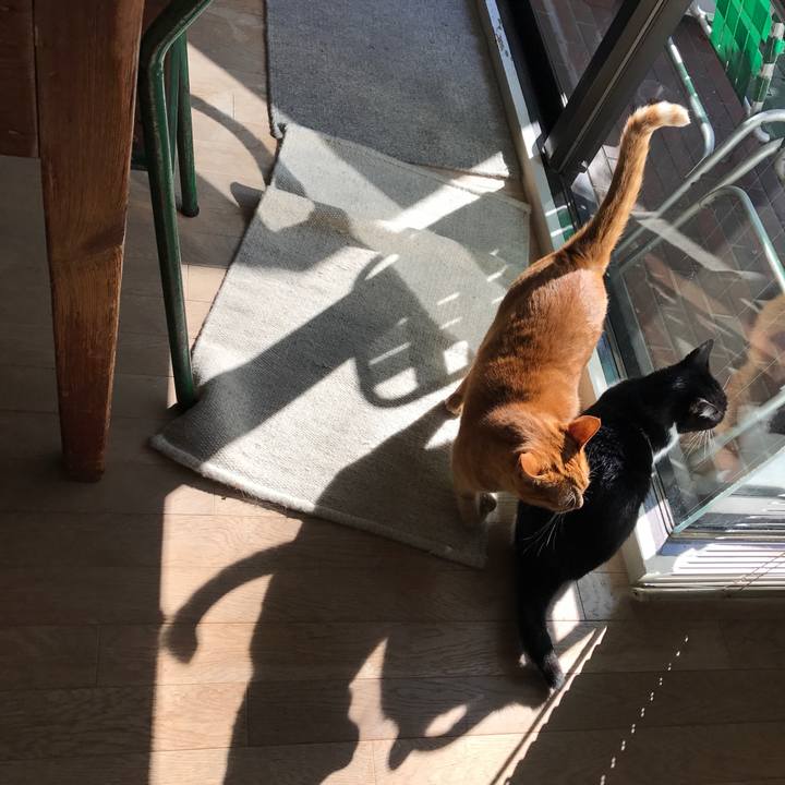 78d2ca7e dd4f 435b a673 f7cedd7f3ec9