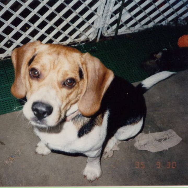 78d326f7 8799 48ee 918a 4a4c8ae8c0d8