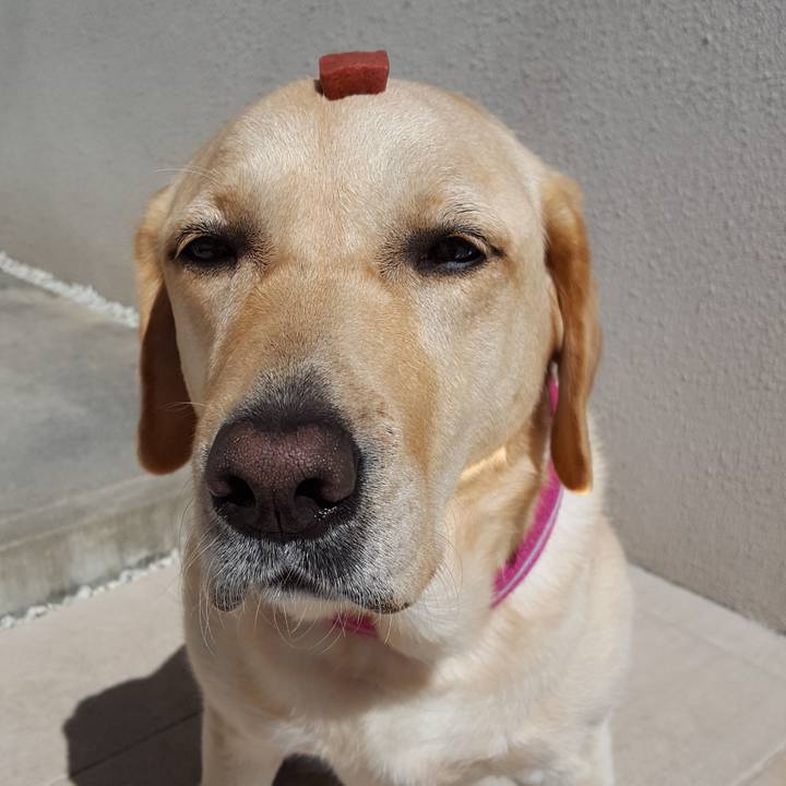 78d41e34 0c93 45cc 95fe a1934aa7e7d6