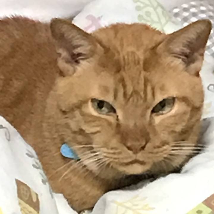 78d4262f 9cb3 483f 8eee 4c8163283c59