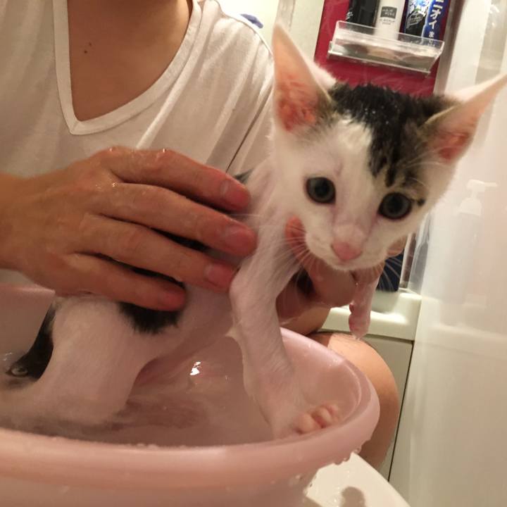 78d42b2f b772 42c5 afd6 b364c91f2bdd