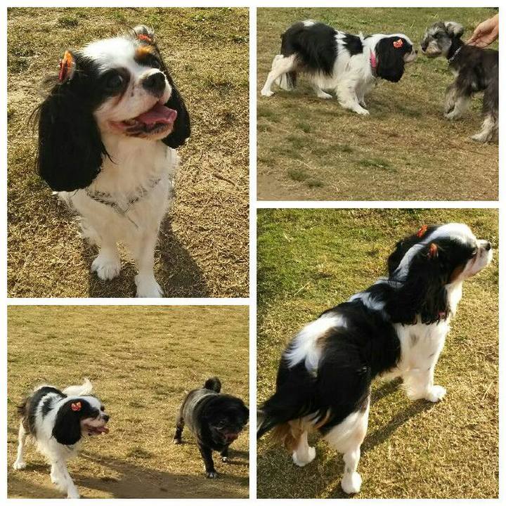 78d44169 41f7 4822 ae66 d62d3a9568fb