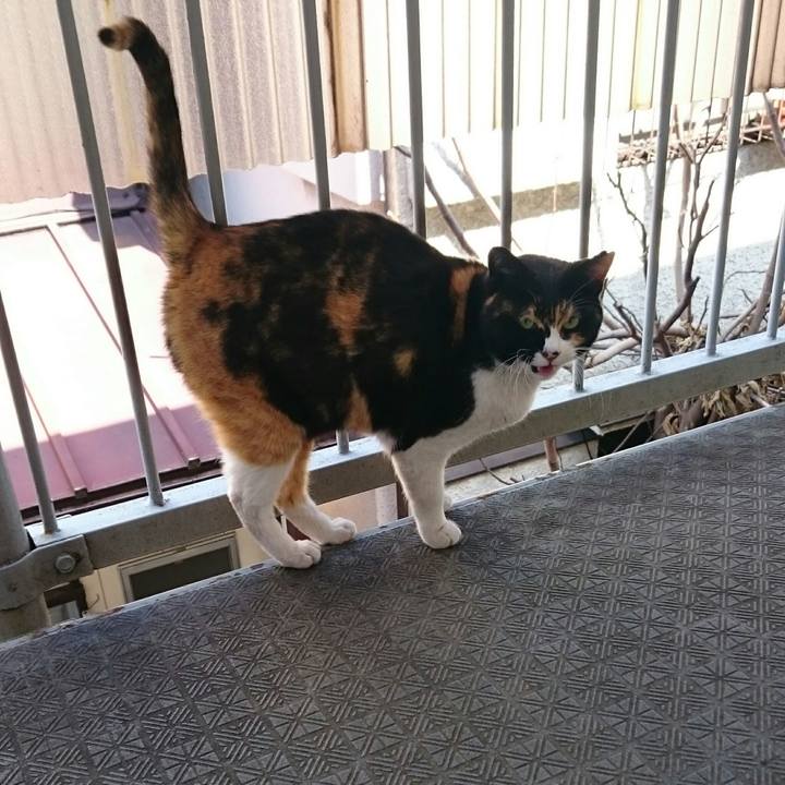 78d46c0b 9783 4176 8849 94d8c308776d