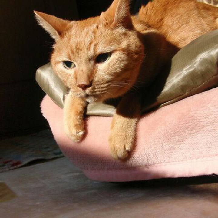 78d48958 ca74 43d6 a3ef 5e6bba4b9e1b