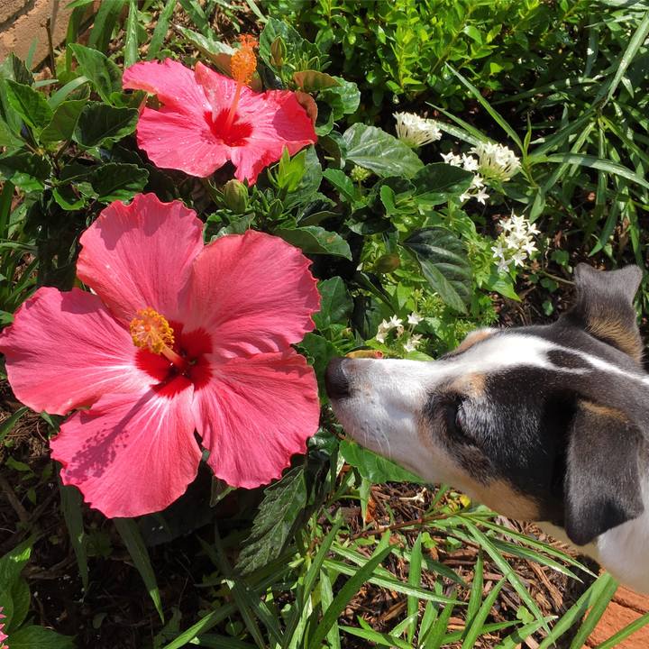 78d4a04d c890 4a74 8a32 1ef0e6aa0e76