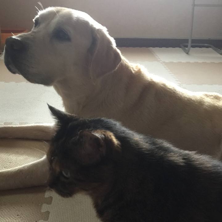 78d4e607 9536 46c7 a942 9cc707955b49