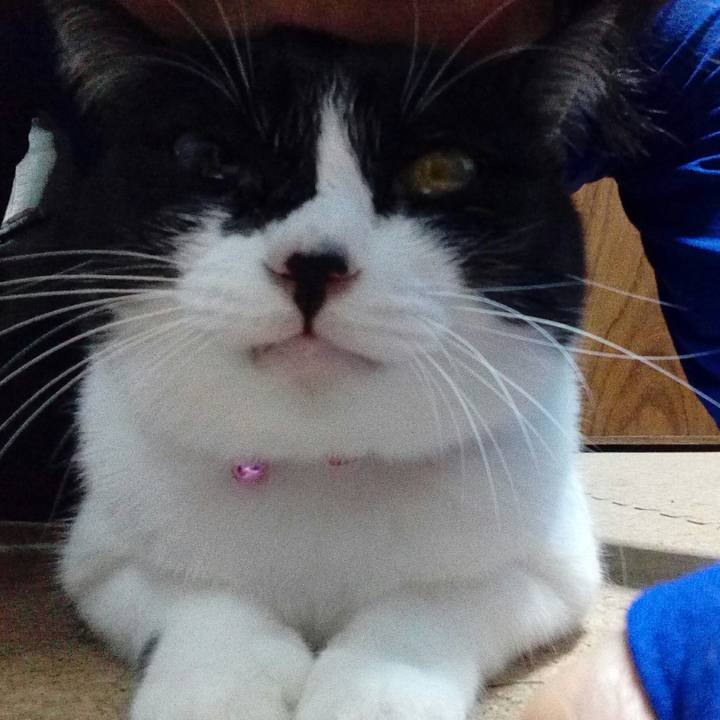 78d51900 061e 4234 8b11 9660f2258a7a