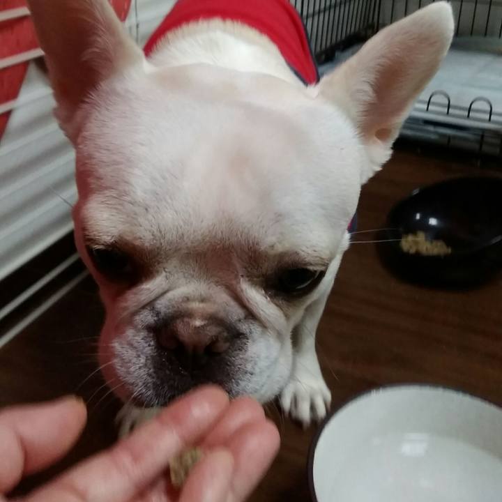 78d623fb bd28 4468 9e19 f6f32f70ad0c