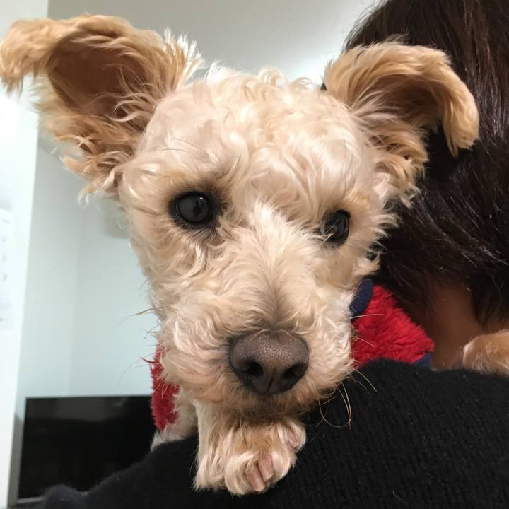 78d645d1 5fd8 4ec7 b628 ca596cf44d3a