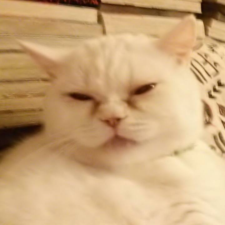 78d66038 2723 43db b72a 3ef8426f914c