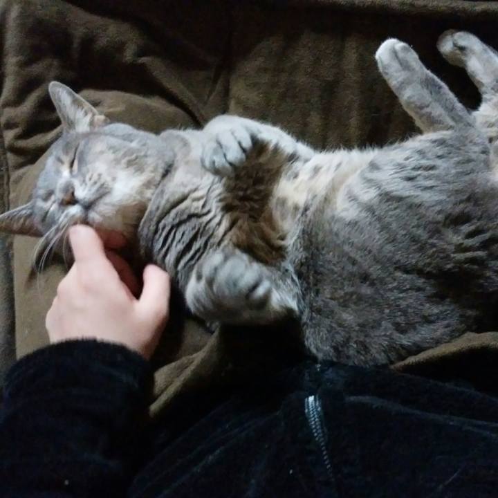 78d668d2 e352 432c 9165 9ff1e282da27