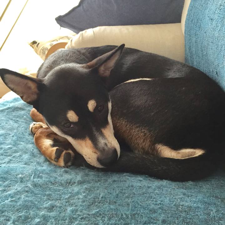 78d6e377 5891 4004 a7db fc789096f848