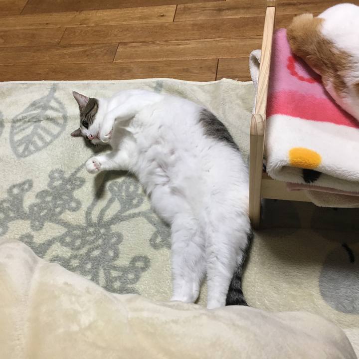 78d780cb 6f0a 4b55 9776 014cdbe80211