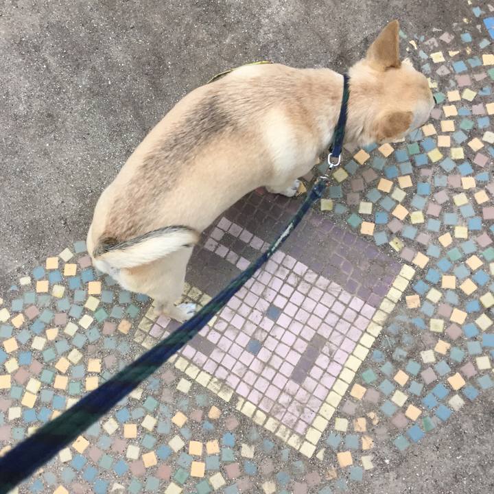 78d7ffaa db0a 4cbd bb9c e7305465b3c2