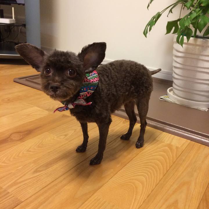 78d84a10 326e 40f7 a9a1 b6d81053d1ea