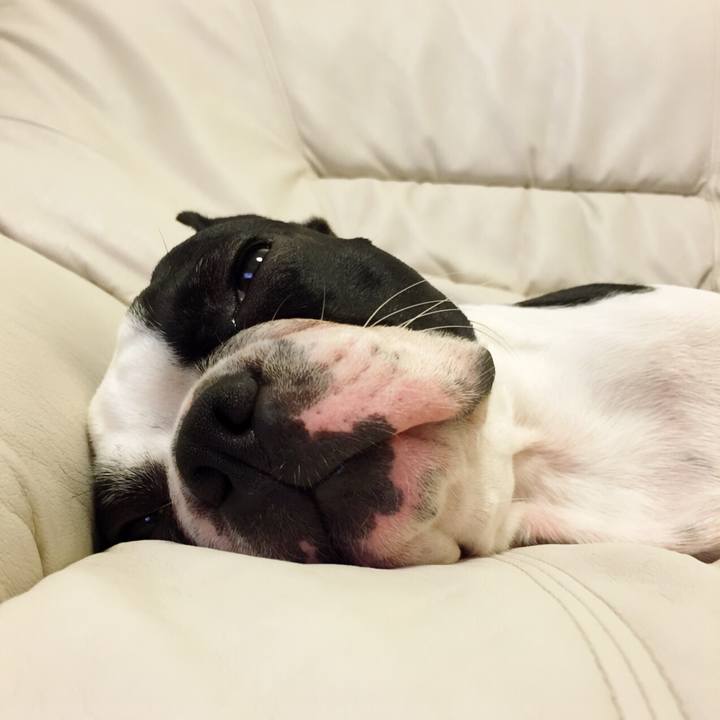 78d85480 04ae 4d1c 8467 add37652c0fa