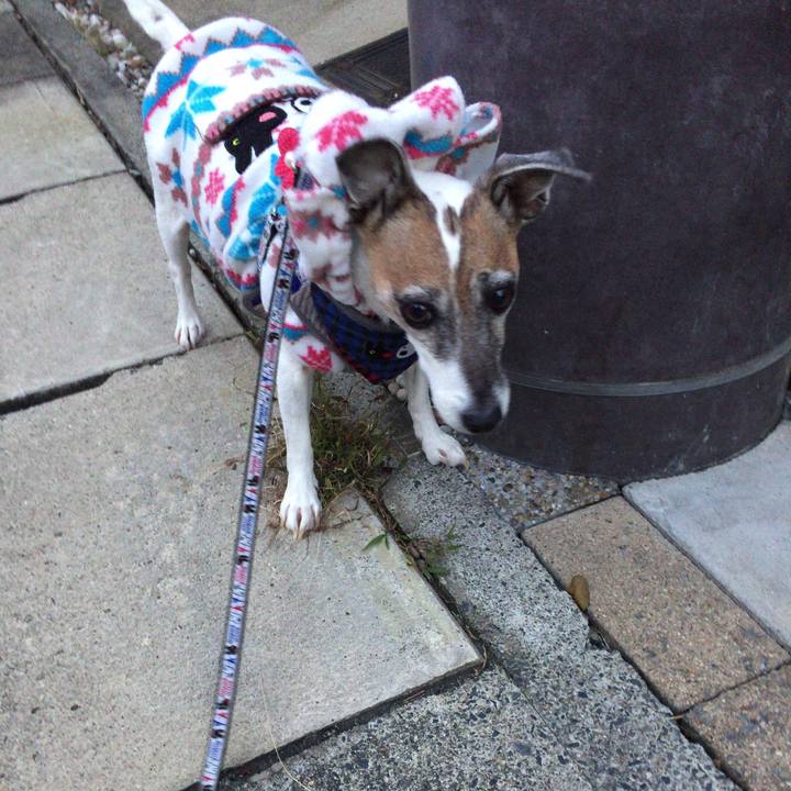 78d89ef3 ab00 4e00 9fbf 52a634a76aa9