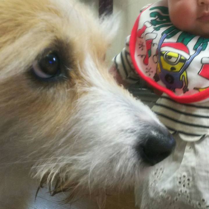 78d8c61b 42a9 4dc0 9b1c b5d8a4576cfb