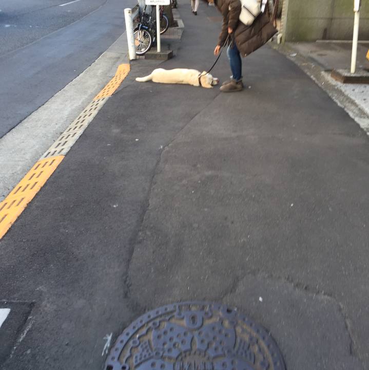 78d8fa1c e76d 40c9 bb5b 263c74a0e074