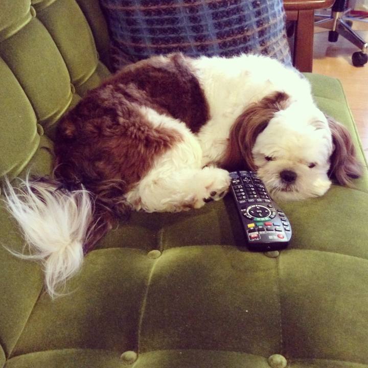 78d971a3 d650 461d 97fb 74ebdebbd81d