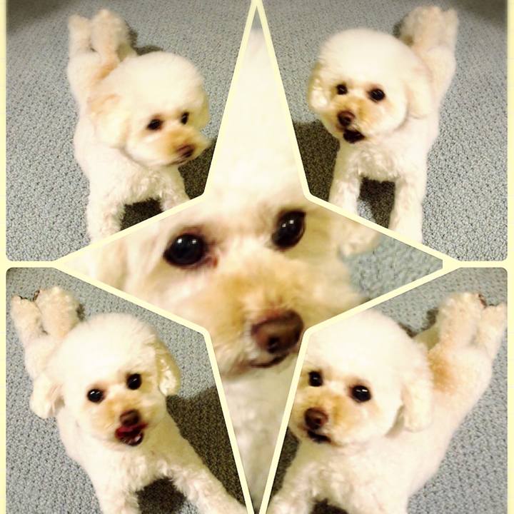 78d9b45c 1b3e 4ff5 8151 a9927c8aef57